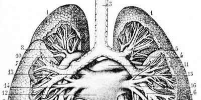 bronquitis