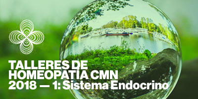 taller-homeopatia-barcelona-sistema-endocrino